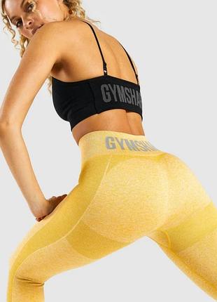 Лосины тайтсы gymshark