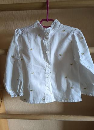 Біла сорочка, блуза для дівчинки ,h&m  розмір 110