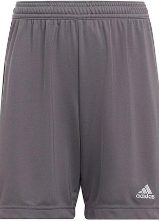 Шорты adidas entrada 22 junior - серый код продукта: h57507