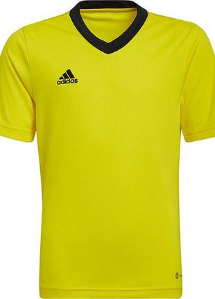 Футболка adidas entrada 22 junior - hi2127