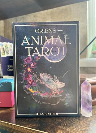 Animal tarot