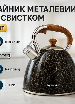 Чайник из нержавейки с бакелитовой ручкой rainberg, чайник с эргономичной ручкой на кухню 3 л go-12