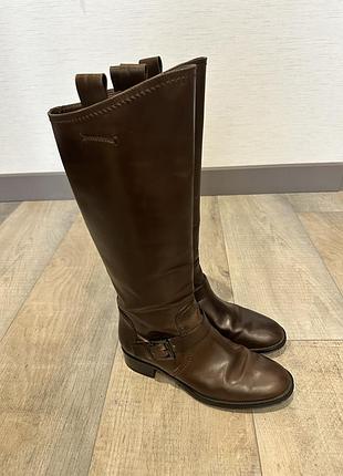 Високі жіночі чоботи-жокеї (riding boots) від італійського бренду люкс-сегмента tod’s