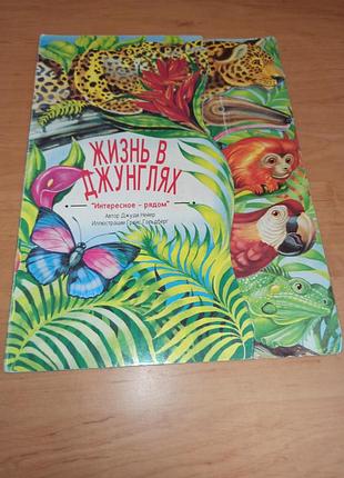 Жизнь в джунглях джуди нейэр голдберг книжка картонка с вырубкой