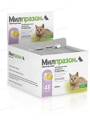 Мілпразон (milprazon) від глистів для котів та кошенят 0.5-2 кг 1 таблетка