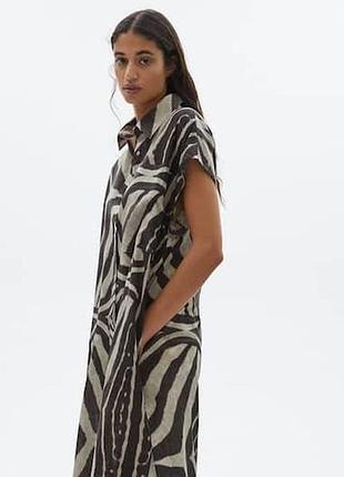 Сукня massimo dutti 2