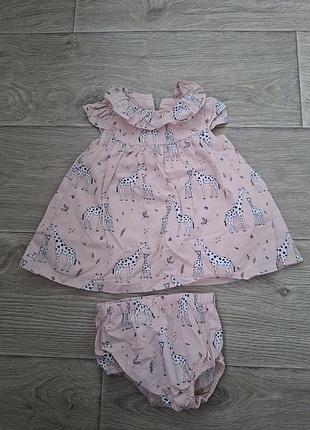 Комплект для девочки 🌸🦒
