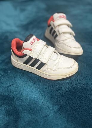 Кеди adidas