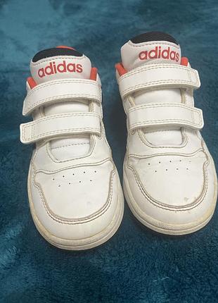 Кеди adidas 2