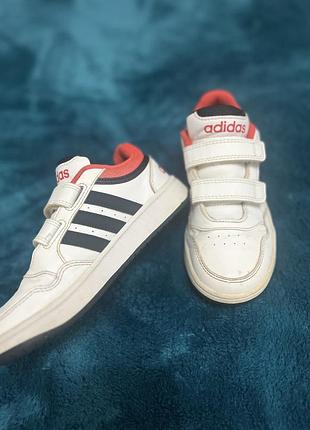 Кеди adidas 3