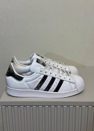 Шкіряні кросівки adidas superstar. стан ідеальний, як нові   •розмір 40(25,5 см)