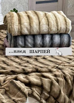 Плед шарпей