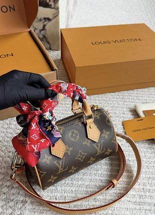 Louis vuitton nano speedy monogram canvas