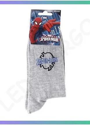 Шкарпетки spider man spiderman logo світло-сірий 39-42 унісекс дитячі повсякденні шкарпетки з принтом sku_93152362-3