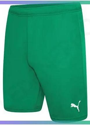Шорти puma teamrise short зелений чоловічі xl для футболу спортивні шорти з кишенями sku_704942-05