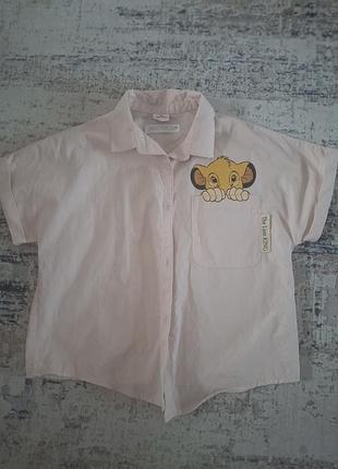 Рубашка, тенниска на 5-7р, zara