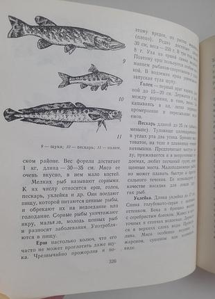 Книга сокровища леса