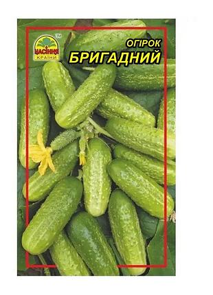 Семена огурца бригадный 0,5 г (насіння країни)