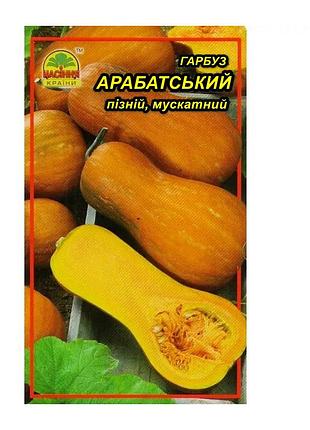 Семена тыква арабатская 2 г (насіння країни)