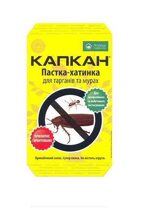 Ловушка-домик для тараканов и муравьев "капкан"