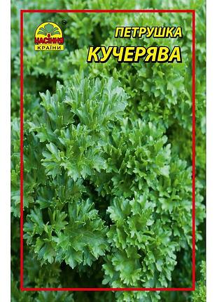 Семена петрушки кучерявой 10 г (насіння країни)