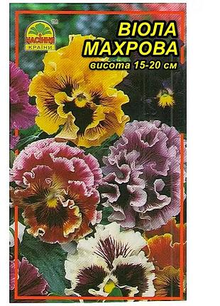 Семена виола махровая рокко 20 шт. (насіння країни)
