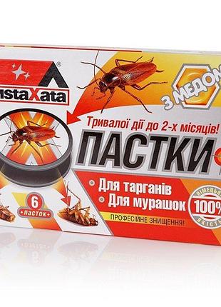 Чиста хата ловушка 6 дисков