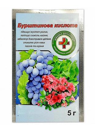 Бурштинова кислота 5 г