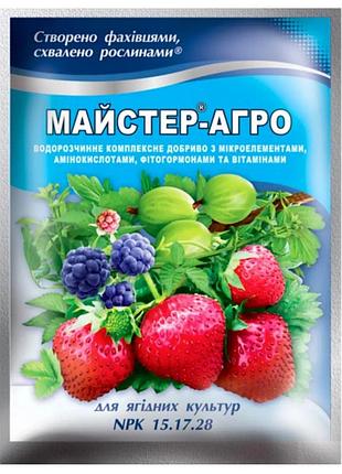 Добриво майстер-агро для ягідних культур (npk 15.17.28) 100 г