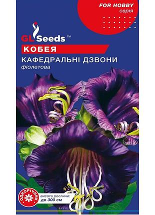 Семена кобеи кафедральные колокола 4 шт. gl seeds