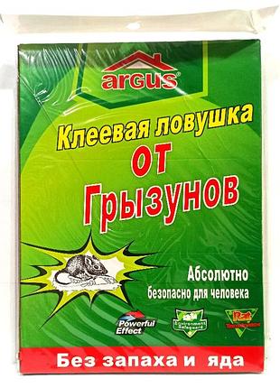 Клейова пастка від щурів і мишей 21см*31см (книжка)