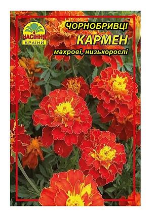 Цветы бархатцы (чернобривцы) кармен - 3 г