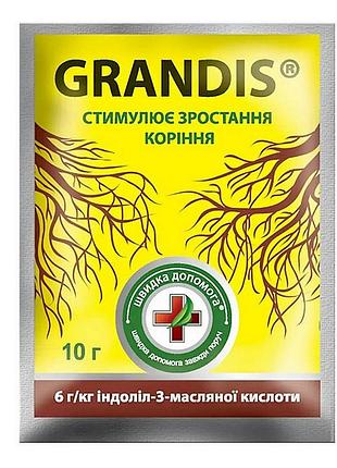 Стимулятор роста корней грандис 10 г