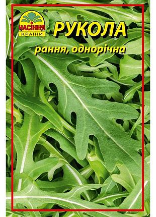 🌿 насіння руколи 10 г