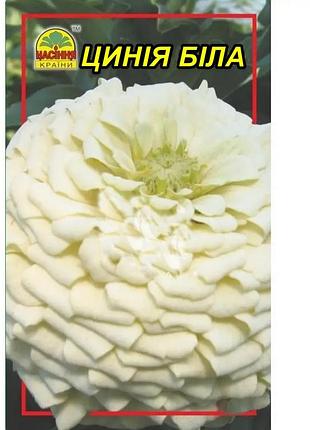 Семена цинния белая 0,5 г (насіння країни)