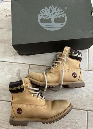 Черевики timberland жіночі