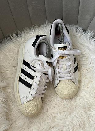 Adidas superstar кросівки