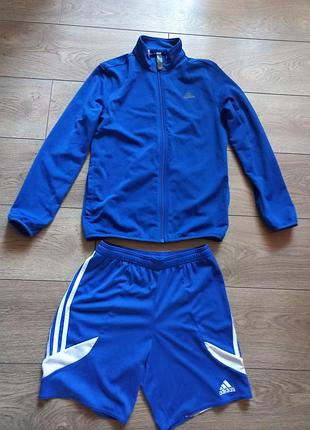 Олімпійка та шорти adidas