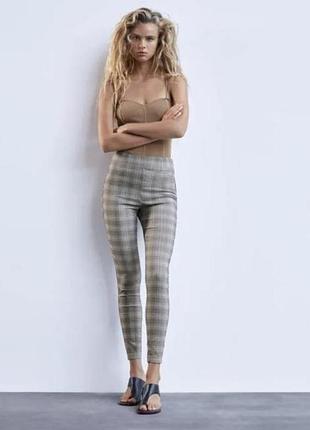 Штани, легінси zara