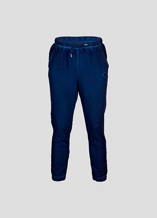 Штани arena icons pant