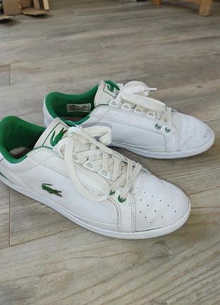 Мужские кроссовки lacoste