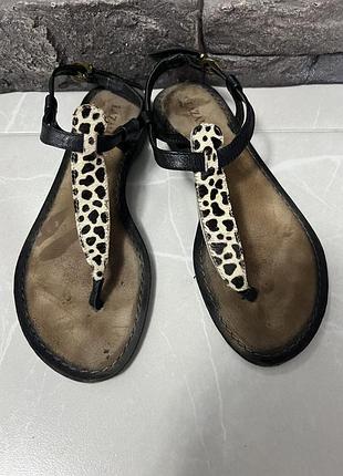 Босоніжки вʼєтнамки сандалії через палець натуральна шкіра та хутро поні