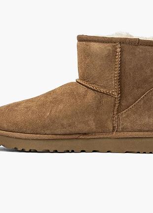 Уггі жіночі ugg classic mini 2 chestnut brown 1016222-che 36