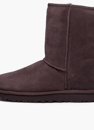 Уггі жіночі ugg classic short ii boots brown 1016223bcdr 40