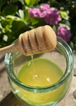 Мед з домашньої пасіки. липа🍯 і акація