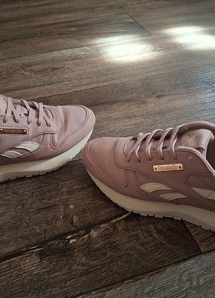 Кросівки reebok