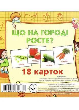Розвиваючі картки для дітей що росте на городі j018y, 18 картинок