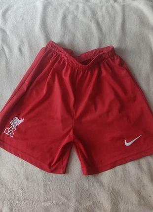 Шорты футбольные liverpool
