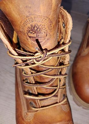 Черевики timberland 5