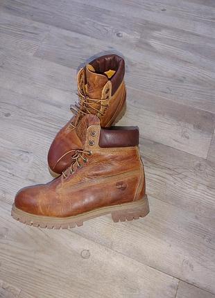 Черевики timberland 6